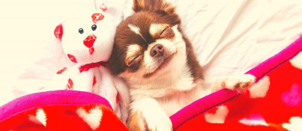 ako sa zbavit zlozvykov